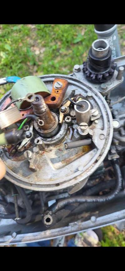 6hp Evinrude tiller motor