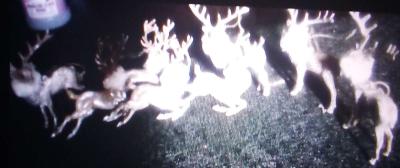 Vintage 8 Piece Reindeer Holiday Set