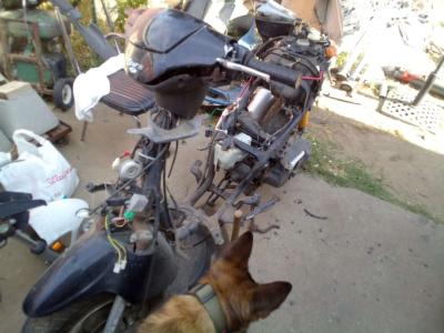 I have three scooters for sale one is a lambretta two is a s - Thumbnail 2