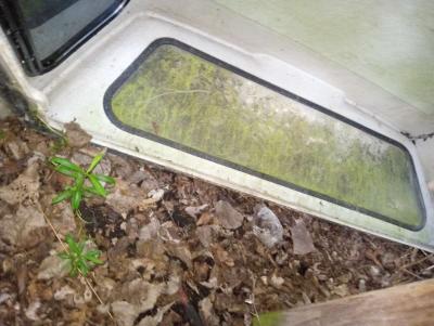 8foot truck cap for dodge - Thumbnail 3