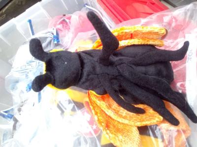 Beanie Babies - Pasadena, California