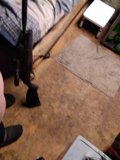 Gamo swarm whisper bb gun - Thumbnail 5