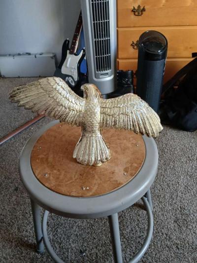 agila dorado - Thumbnail 3