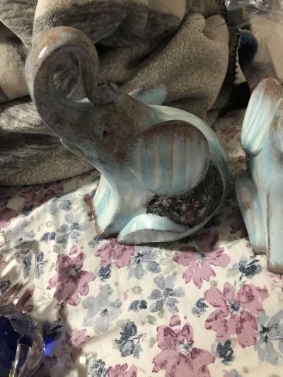 elephants - Thumbnail 2