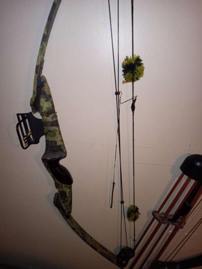 old compound bow