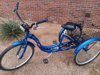 Schwinn Meridian Trike