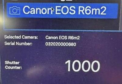 Canon EOS r6 mark ii - Thumbnail 6