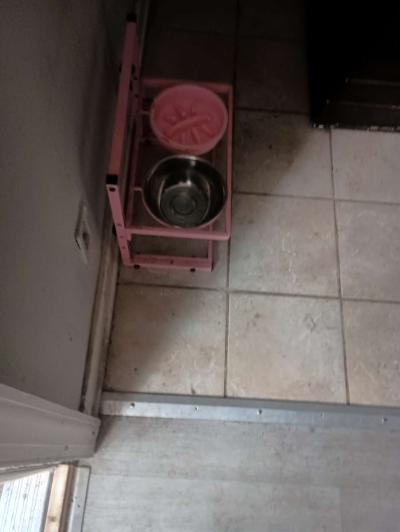 the dog bowl holder - Thumbnail 4