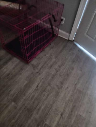 the dog bowl holder - Thumbnail 2