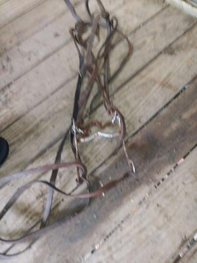 bridle with bit n reins - Thumbnail 3