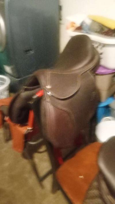 horse saddle and bridal - Thumbnail 2