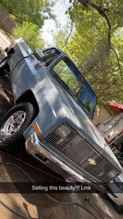 1981 Chevrolet C20 Pickup