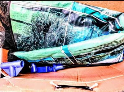 Arcade Alley Golf  Electronic Sounds Scoring And Phrases Tes - Thumbnail 5