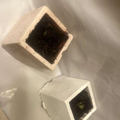 12 10 8  pots with plant - Thumbnail 2