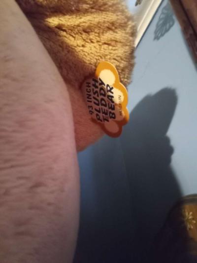 teddy bear 93 feet - Thumbnail 2