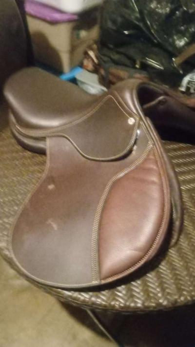 horse saddle and bridal - Thumbnail 4