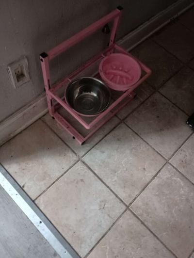 the dog bowl holder - Thumbnail 3