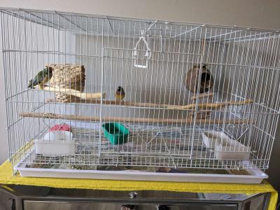 Flight birdcage in the box NEW