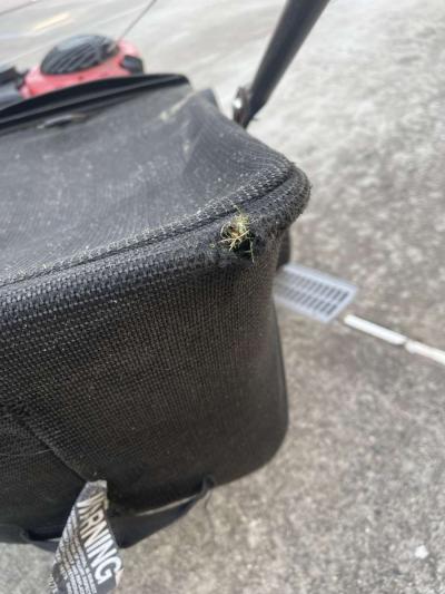 Troy bilt lawn mower - Thumbnail 6