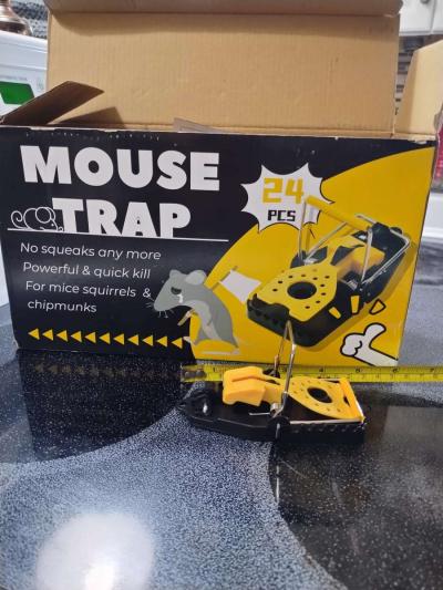 24 pk mouse traps