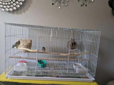 Flight birdcage in the box NEW - Thumbnail 2