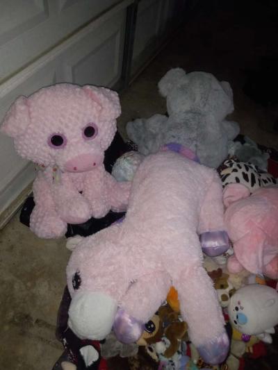 girl  toys - Alicia, Arkansas