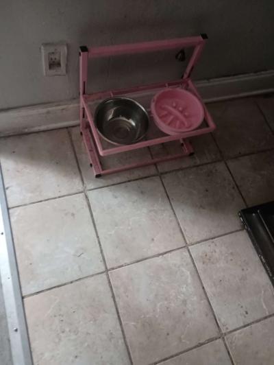 the dog bowl holder - Thumbnail 6