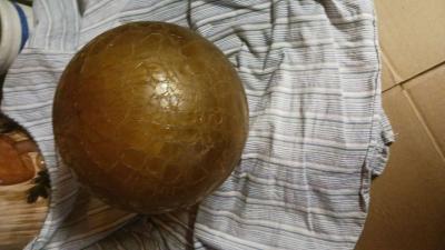 gold yellow crackle glass cover for ceiling light or swag la - Thumbnail 2