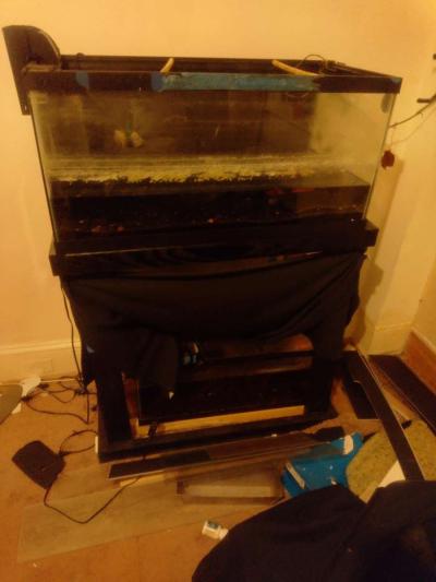 fish tank - Thumbnail 2