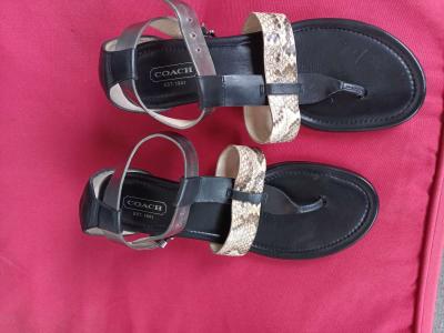 Coach snappy leather snakeskin candles size 6 5 - Thumbnail 2