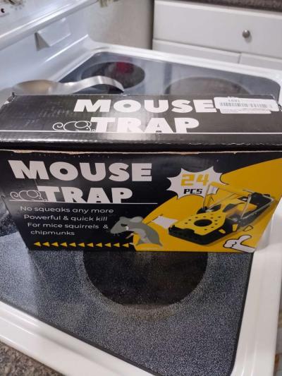 24 pk mouse traps - Thumbnail 4