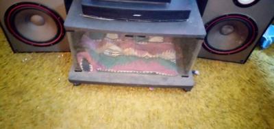 Bose Media sound system and Bose CD  player - Thumbnail 4