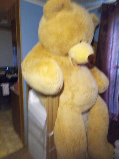 teddy bear 93 feet - Thumbnail 3