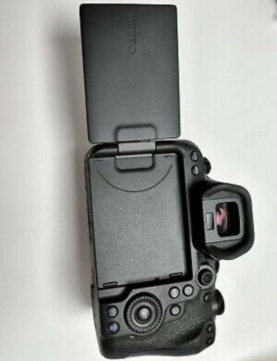 Canon EOS r6 mark ii - Thumbnail 3