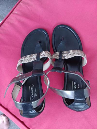 Coach snappy leather snakeskin candles size 6 5 - Thumbnail 5