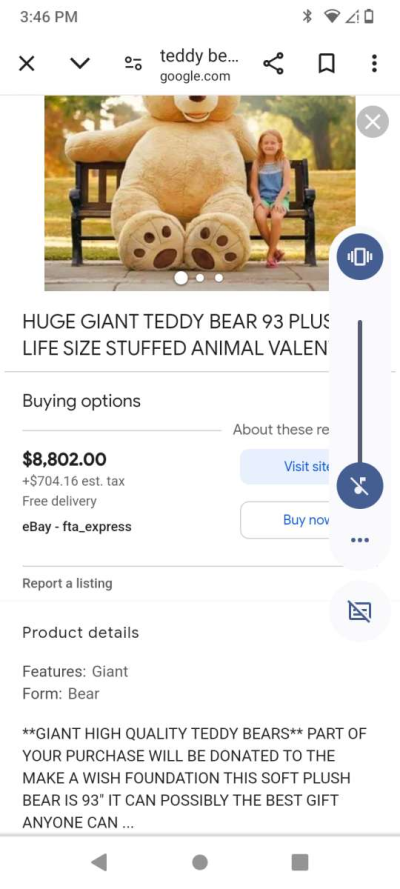 teddy bear 93 feet - Thumbnail 4