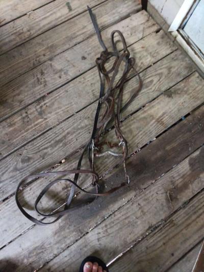 bridle with bit n reins - Thumbnail 2