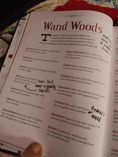 The Unofficial Harry Potter Special Edition Spell Book Hardc - Thumbnail 2