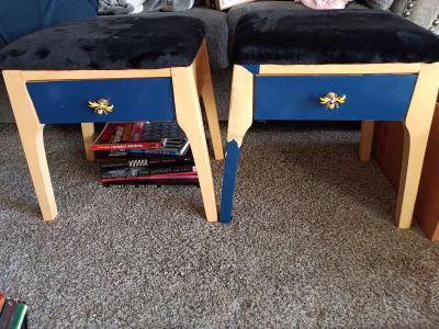Set of 2 Stools with Draw Storage and Faux Fur Seats - Roseville, Michigan