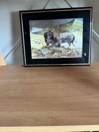 Pictures - Thumbnail 2