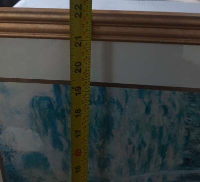 Monet Le Pont Japonais picture - Thumbnail 5