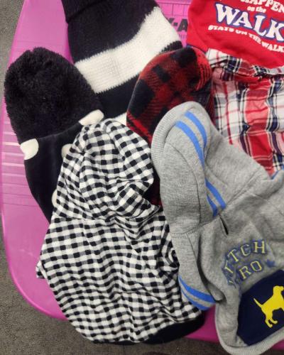 Pet Dog Lot of 10 Outfits Lightly Worn Like New SZs XS to S - Thumbnail 2