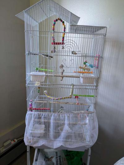 3 bird cages and a bag of 10lb food - Thumbnail 2
