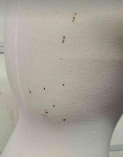 Mannequin On Base  Female  Adjustable Height  RRR Apparel - Thumbnail 3