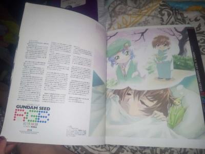 GunDam Seed Photo Album Freedom Kira Book - Thumbnail 3