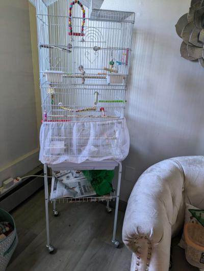 3 bird cages and a bag of 10lb food - Thumbnail 3