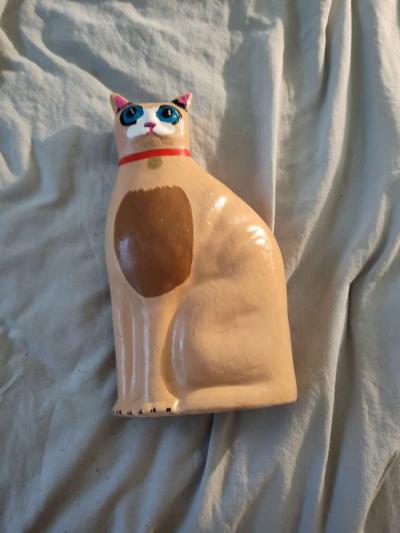 bank cat - Austin, Texas