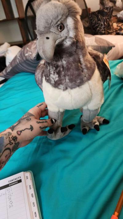 Official Wizarding world merch Buckbeak NWT - Thumbnail 2