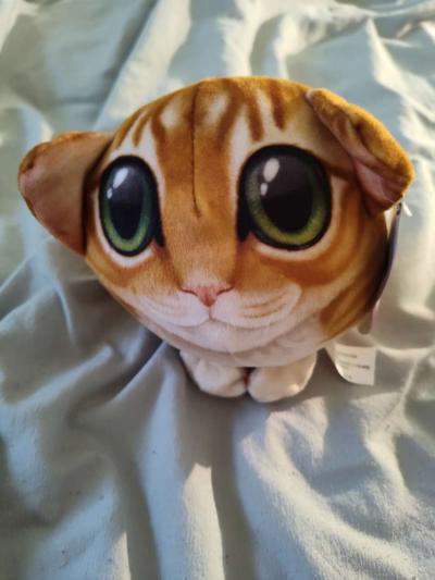 stuff big eye cat - Austin, Texas