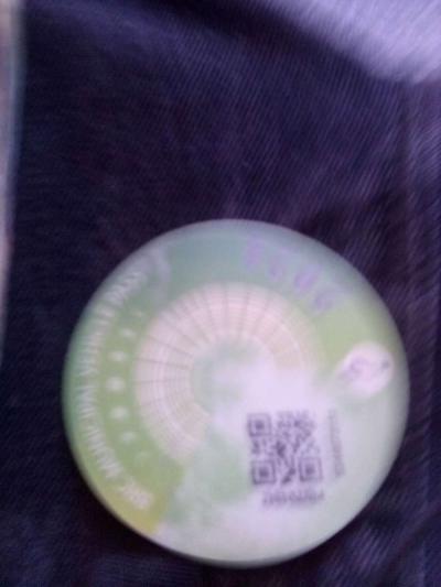 2 tickets to burning man and one parking g pass - Thumbnail 2